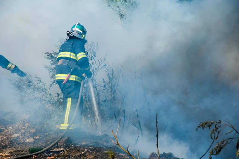Incendie dévastateur dans la forêt de Fontainebleau : 800 hectares ravagés