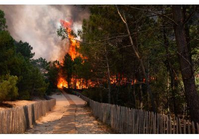 Incendie en Gironde : un brasier dévastateur au Cap Ferret
