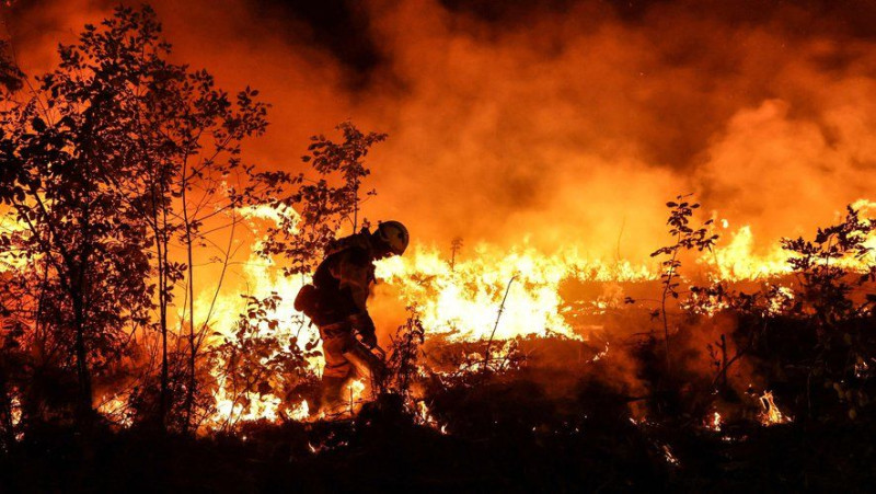Incendies dévastateurs en Gironde : la progression des flammes et l'évacuation massive
