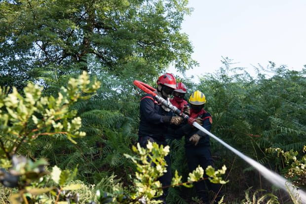 Incendies dévastateurs en Gironde : une menace omniprésente
