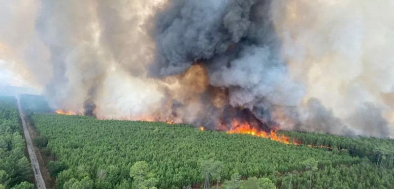 Incendies en Gironde: A63 coupée, odeurs de fumée jusqu'à Lyon, et la question des logements pour les réfugiés
