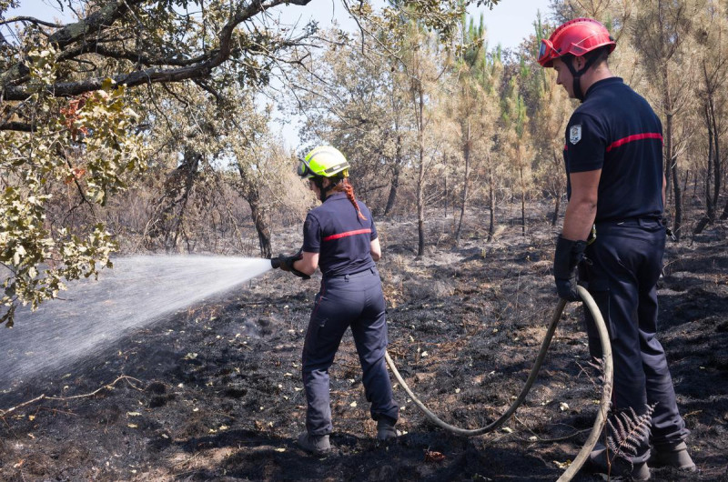 Incendies en Gironde : Bordeaux sous la menace des flammes