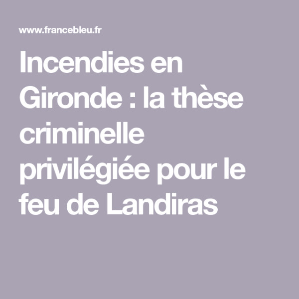 Incendies en Gironde : La fumée jusqu'à Lyon, la lutte continue