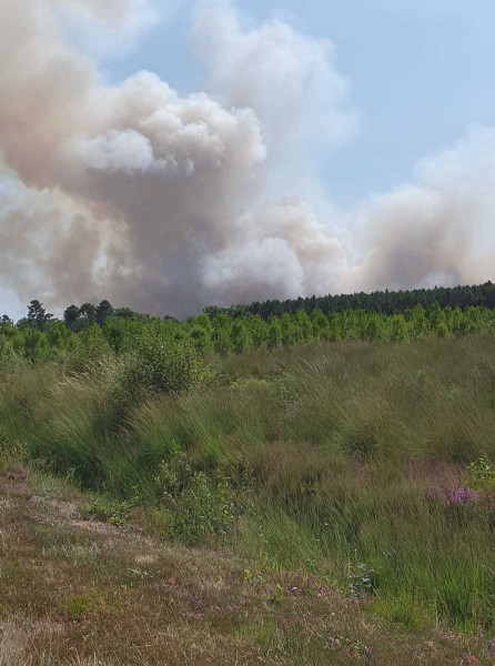 Incendies en Gironde : moitié sud de la France sous un nuage de fumée