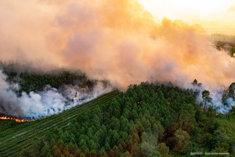 Incendies en Gironde : Un été de braises et de fumée