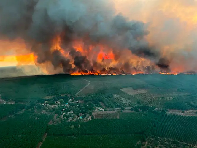 Lège-Cap-Ferret sous les flammes : le feu ravage la Gironde