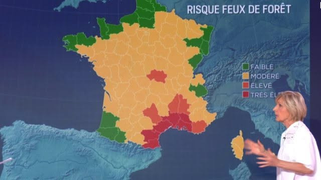 Incendies en France : Sophie Davant évacuée, la forêt de Fontainebleau en danger, et les vacanciers en alerte