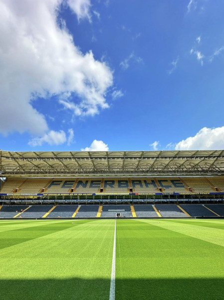 Fenerbahçe et Lyon : Un match d'une rare intensité au Şükrü Saracoğlu Stadium