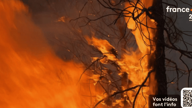 Incendie dévastateur à Montfort-sur-Argens : le Var en état d'urgence