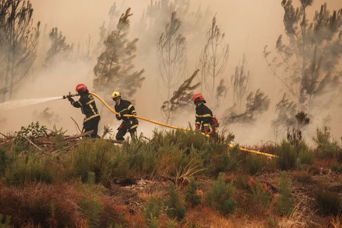 Incendie ravageur dans les Landes : 1 100 hectares dévastés, des habitants évacués