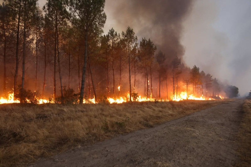 Landes en feu : un nouvel incendie ravage Luglon, les habitants évacués en urgence